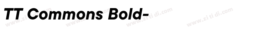 TT Commons Bold字体转换